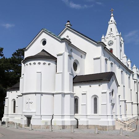 Villa Pazelt Top2 Bad Voeslau Kültér fotó