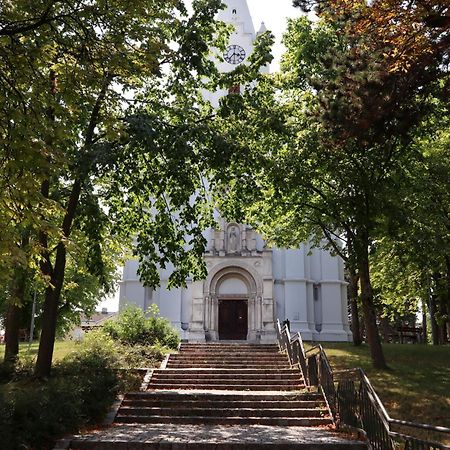 Villa Pazelt Top2 Bad Voeslau Kültér fotó